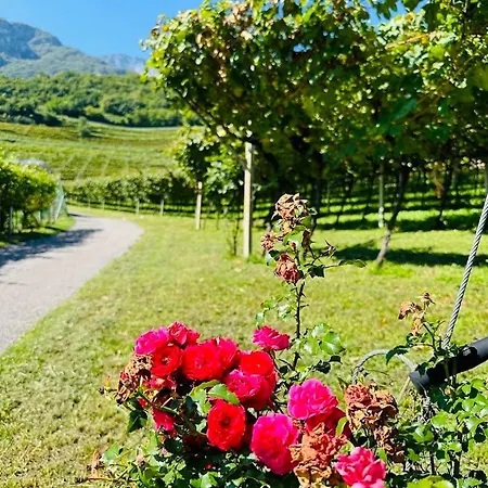 Bauernhof Agritur Gasador Trient