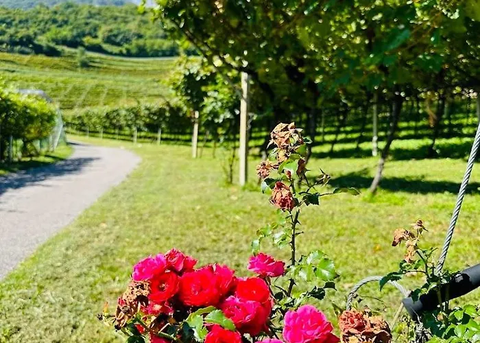 مزرعة للإقامة Agritur Gasador ترينتو